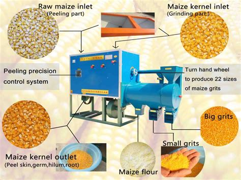 Wheat milling and baking technology notes food technology. - Polimodal english level 1 - humanidades y ciencias sociales.